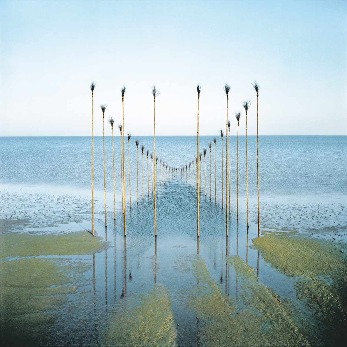Nils Udo - Maison d'Eau I, 1982